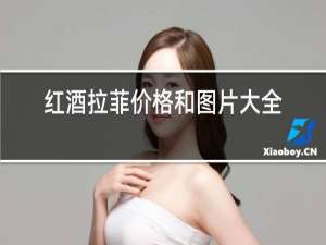 红酒拉菲价格和图片大全