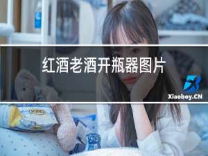 红酒老酒开瓶器图片