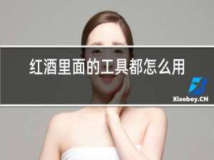 红酒里面的工具都怎么用
