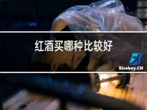 红酒买哪种比较好