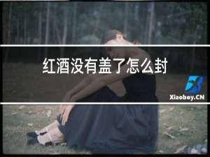 红酒没有盖了怎么封
