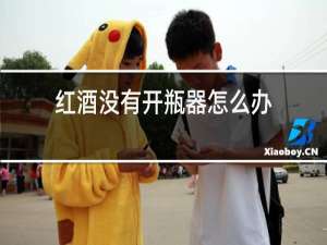 红酒没有开瓶器怎么办