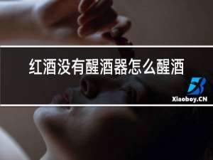 红酒没有醒酒器怎么醒酒