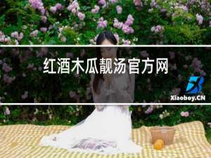 红酒木瓜靓汤官方网