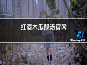 红酒木瓜靓汤官网