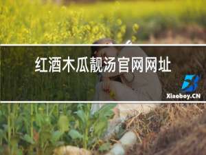 红酒木瓜靓汤官网网址