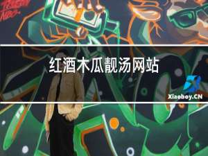 红酒木瓜靓汤网站