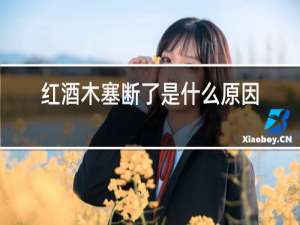 红酒木塞断了是什么原因