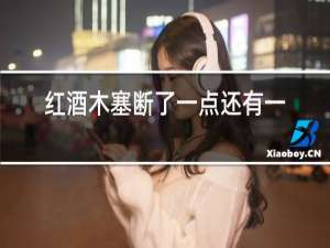 红酒木塞断了一点还有一半在怎么打开