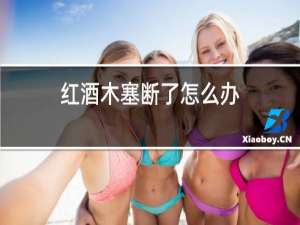 红酒木塞断了怎么办