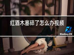 红酒木塞碎了怎么办视频