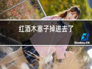 红酒木塞子掉进去了