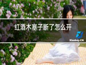 红酒木塞子断了怎么开