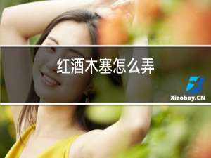 红酒木塞怎么弄