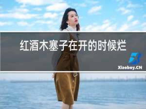红酒木塞子在开的时候烂了怎么开