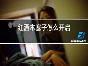 红酒木塞子怎么开启