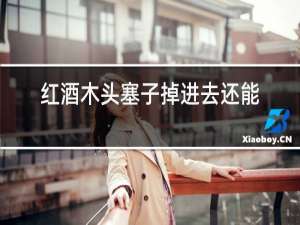 红酒木头塞子掉进去还能喝么