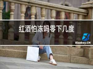 红酒怕冻吗零下几度