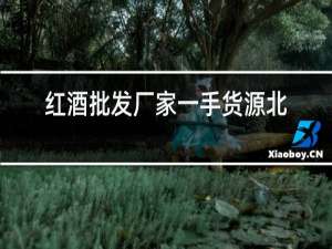 红酒批发厂家一手货源北京