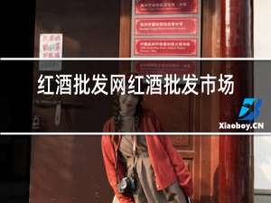红酒批发网红酒批发市场进货渠道