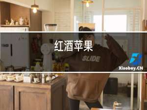 红酒瓶盖