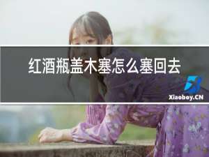红酒瓶盖木塞怎么塞回去