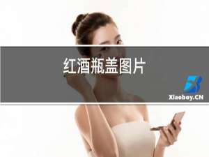 红酒瓶盖图片
