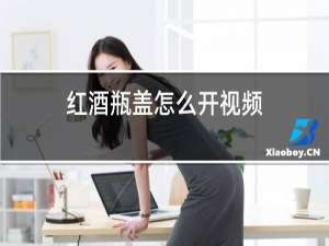 红酒瓶盖怎么开视频