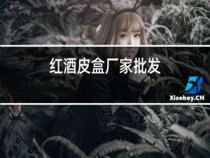 红酒皮盒厂家批发