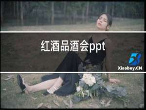 红酒品鉴会ppt