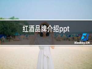 红酒品牌介绍ppt