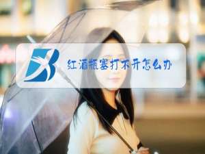 红酒瓶塞打不开怎么办,折了