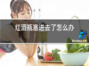 红酒瓶塞进去了怎么办