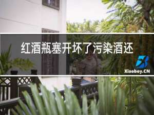 红酒瓶塞开坏了污染酒还能喝吗