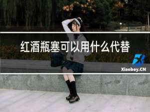 红酒瓶塞可以用什么代替