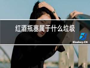 红酒瓶塞属于什么垃圾
