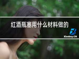 红酒瓶塞用什么材料做的