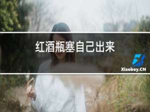 红酒瓶塞自己出来