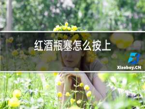 红酒瓶塞怎么按上