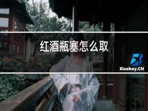 红酒瓶塞怎么取