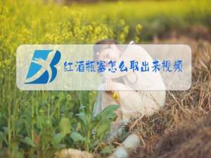红酒瓶塞怎么取出来视频
