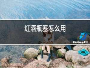 红酒瓶塞怎么用