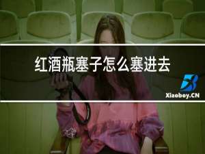 红酒瓶塞子怎么塞进去