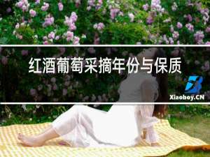 红酒葡萄采摘年份与保质期有关系吗