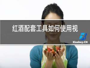 红酒配套工具如何使用视频教程
