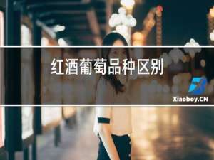 红酒葡萄品种区别