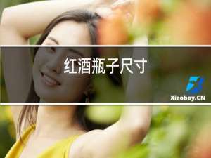 红酒瓶子尺寸