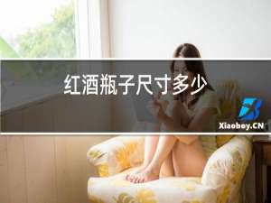 红酒瓶子尺寸多少