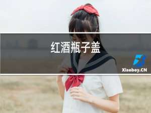 红酒瓶子盖