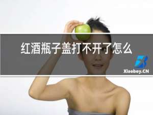 红酒瓶子盖打不开了怎么弄